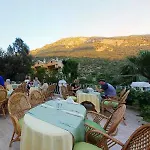 Flamingo מלון
